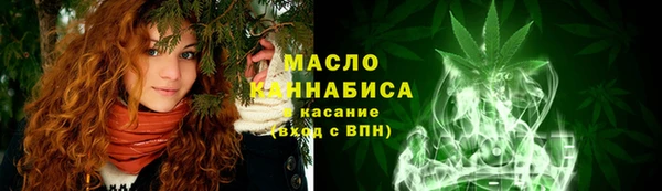 тгк Абаза