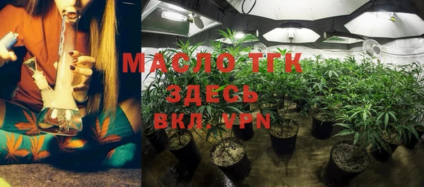 тгк Абаза