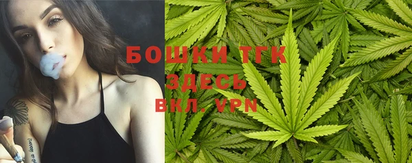тгк Абаза