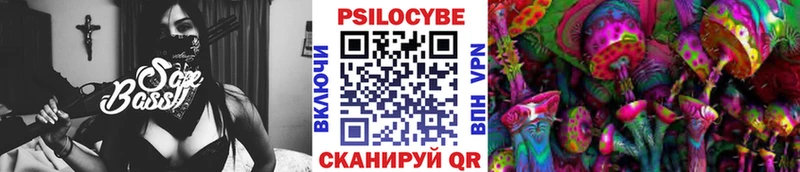 Галлюциногенные грибы Psilocybe гидра как зайти Троицк