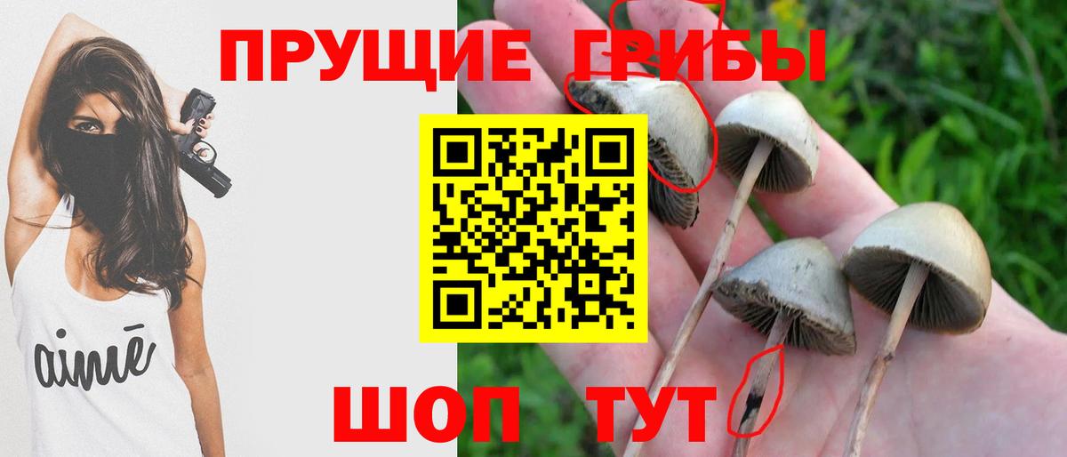 Галлюциногенные грибы мицелий Троицк