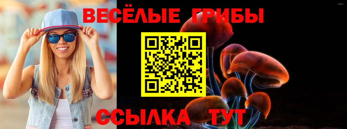 где купить наркотик  Вход с VPN  Троицк  Галлюциногенные грибы ЛСД 